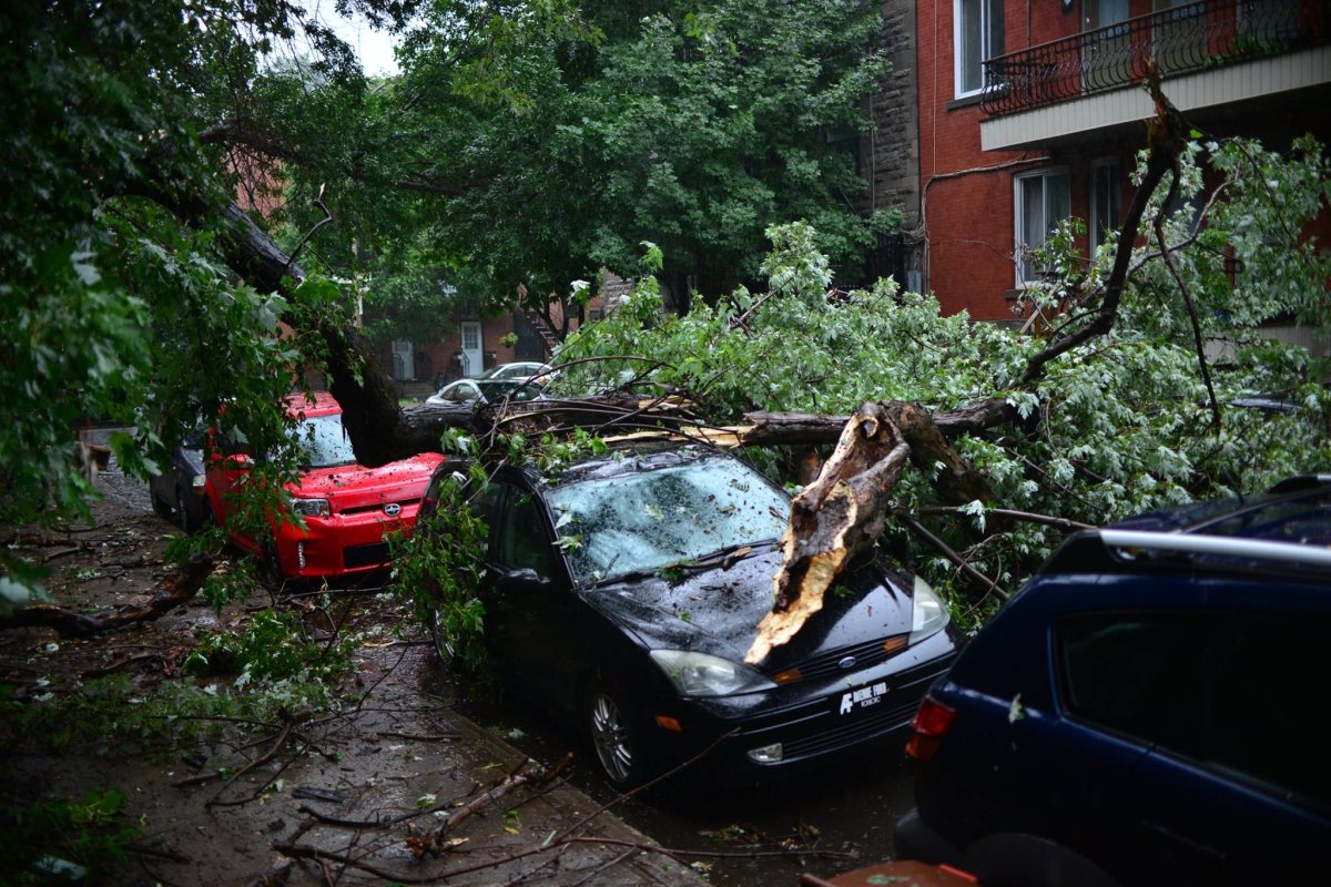 An intense thunder storm caused power outages and fallen trees in Saint-Henri, Tuesday, Aug. 22, 2017.