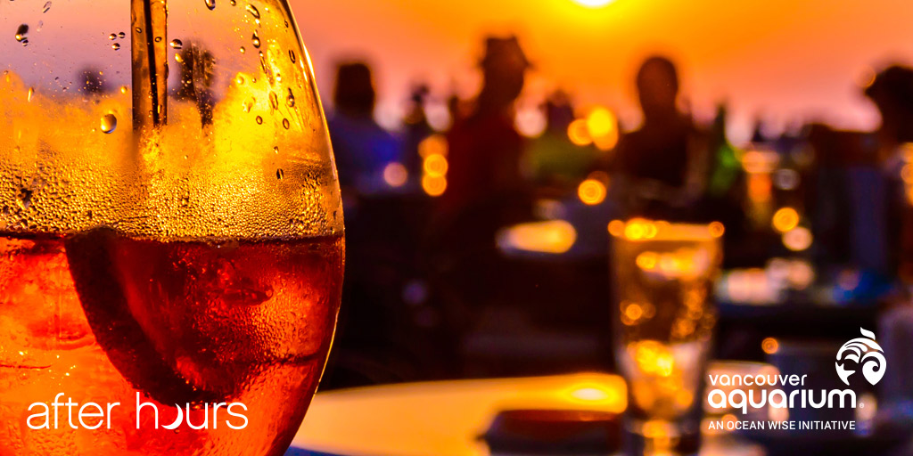 Let the Good Times Roar at Vancouver Aquarium’s After Hours - image