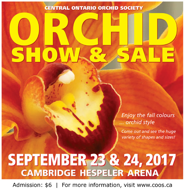 32nd Annual Orchid Show & Sale - image