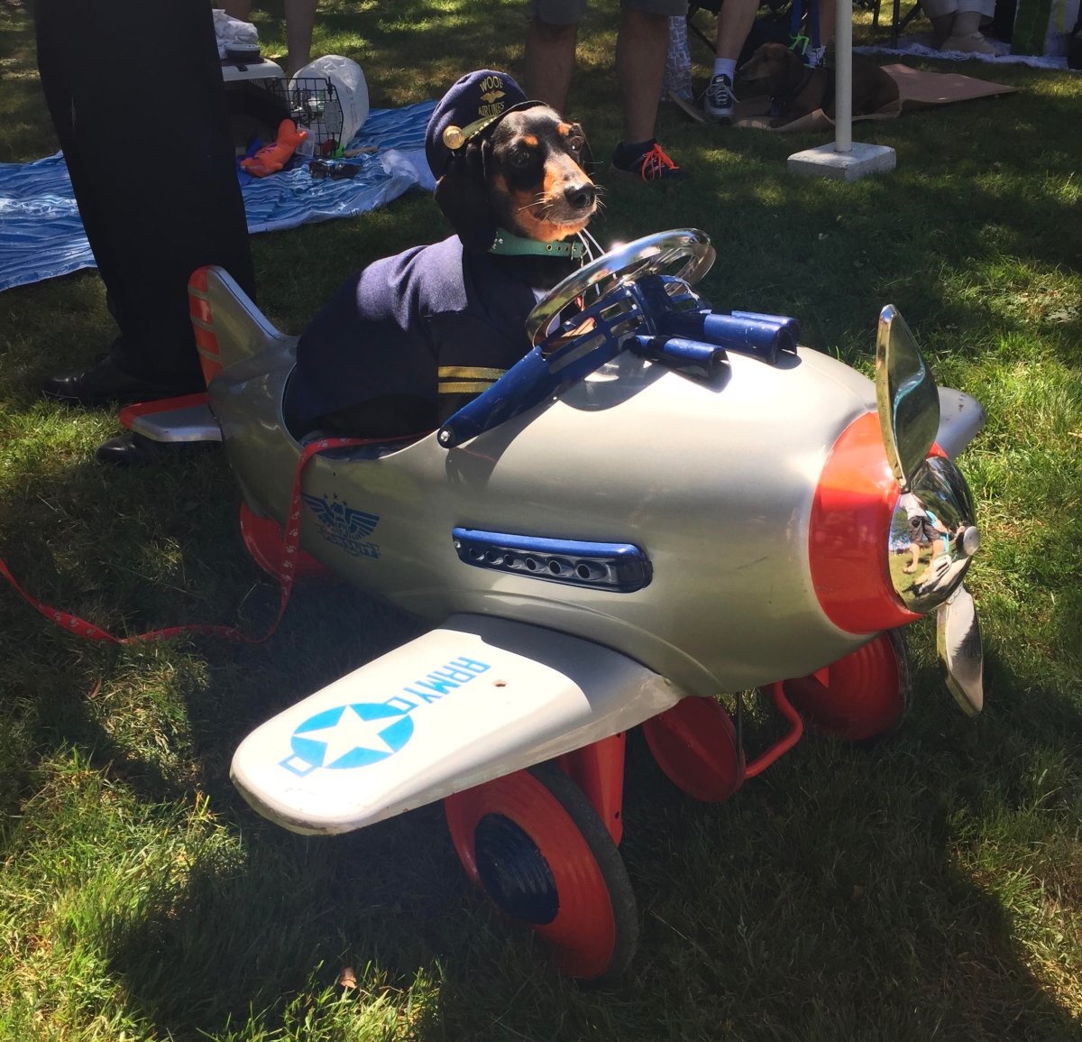 Annual Weiner Walk & Picnic - image