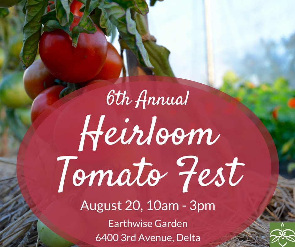 6th Annual Heirloom Tomato Fest - image