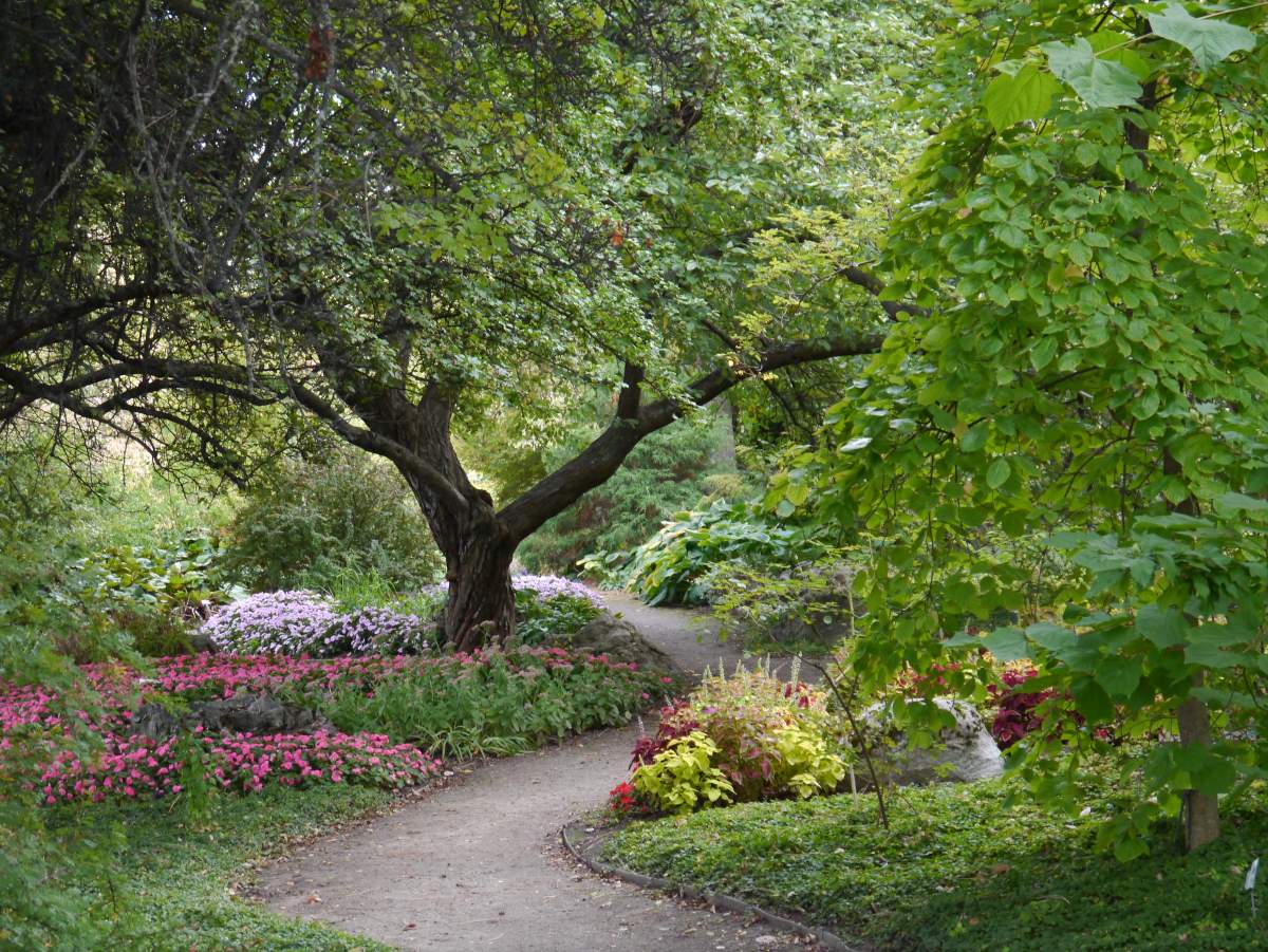 Art in the Summerland Ornamental Gardens - image
