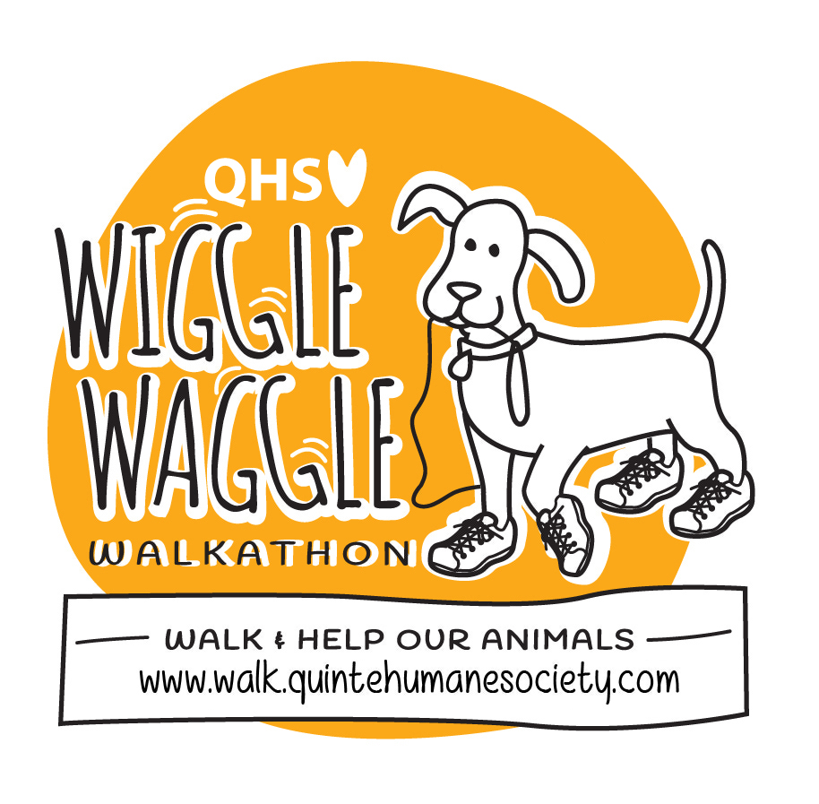 Wiggle Waggle Walkathon - image
