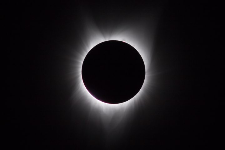 Saskatoon solar eclipse watchers: ‘a miracle of nature unfolding in ...