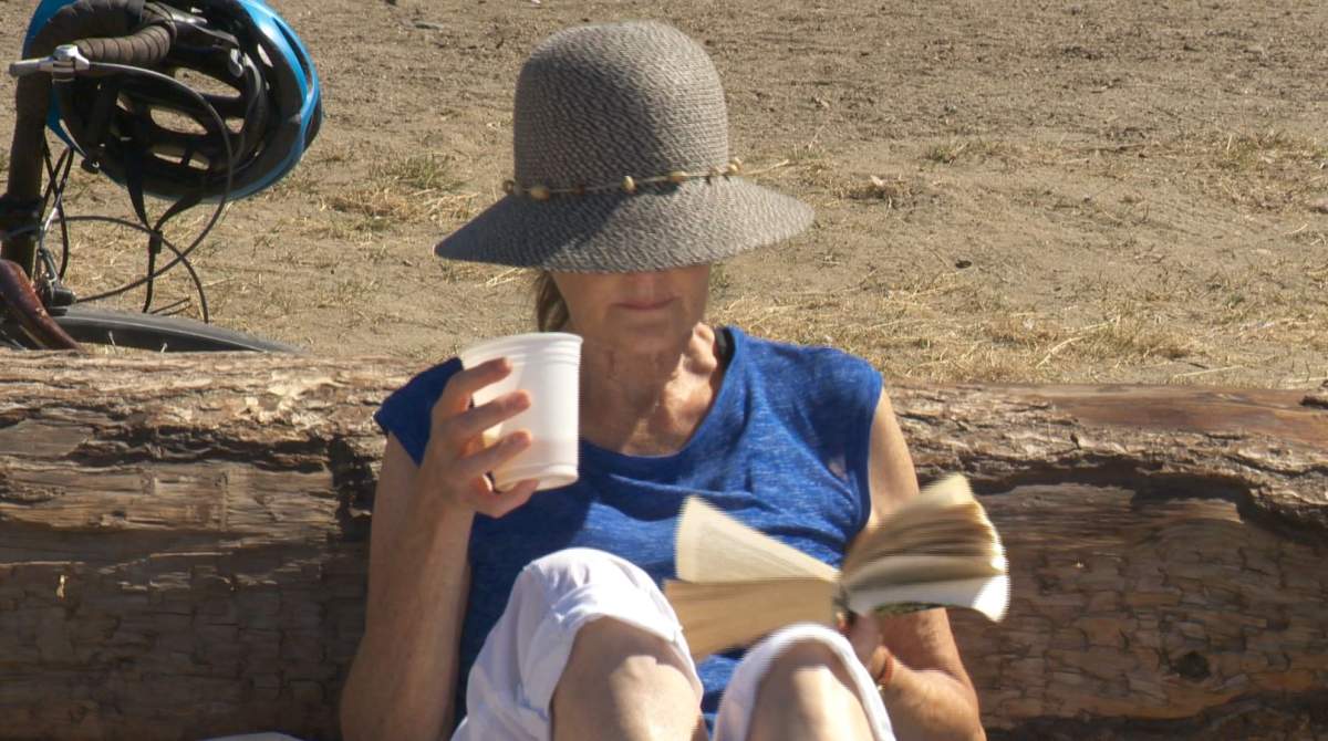 One Vancouver park board member is proposing a motion that would allow public drinking at certain parks and beaches.