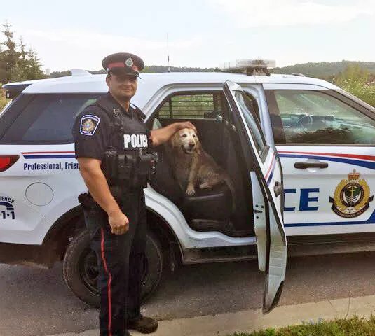 Peterborough Police Service Const. Craig Ralph with Bear. 