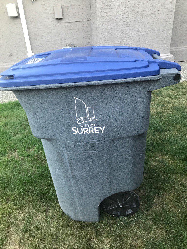 Some residents calling Surrey, B.C. blue bin audit a waste of taxpayer money - image