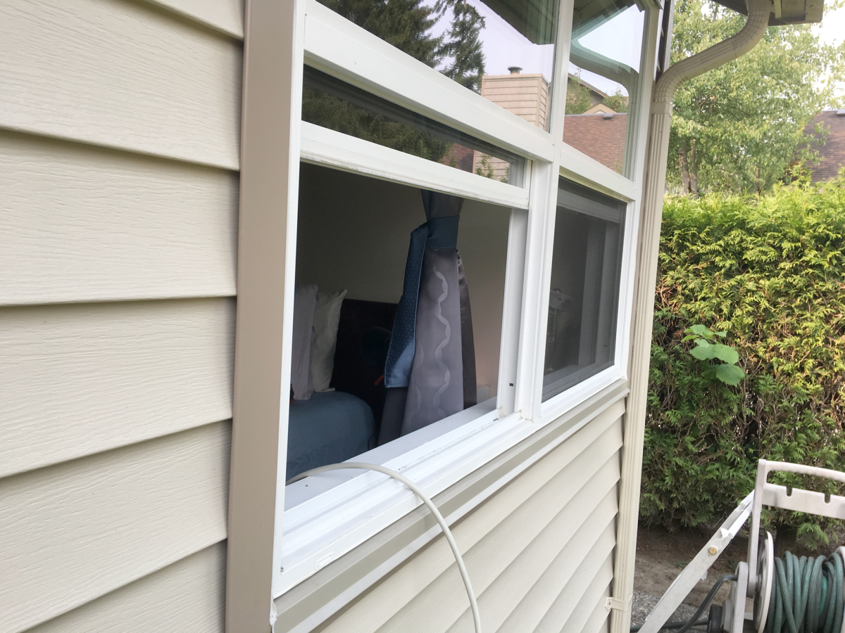 Cloverdale resident claims home broken into, dog drugged - image