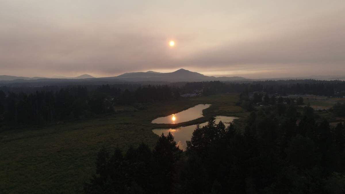 Credit: Mark Saunders