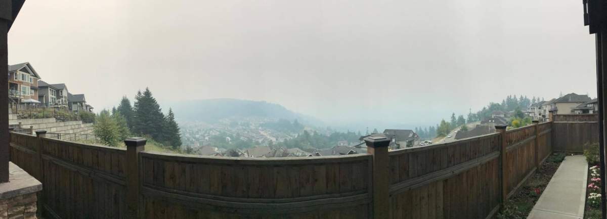 Credit: Katie Van Hoepen