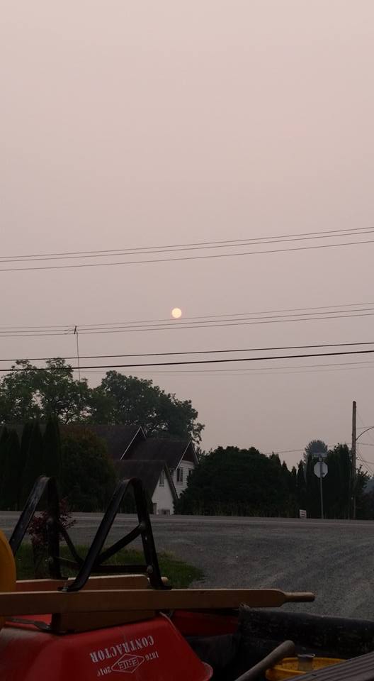 Credit: Norman Longstaff