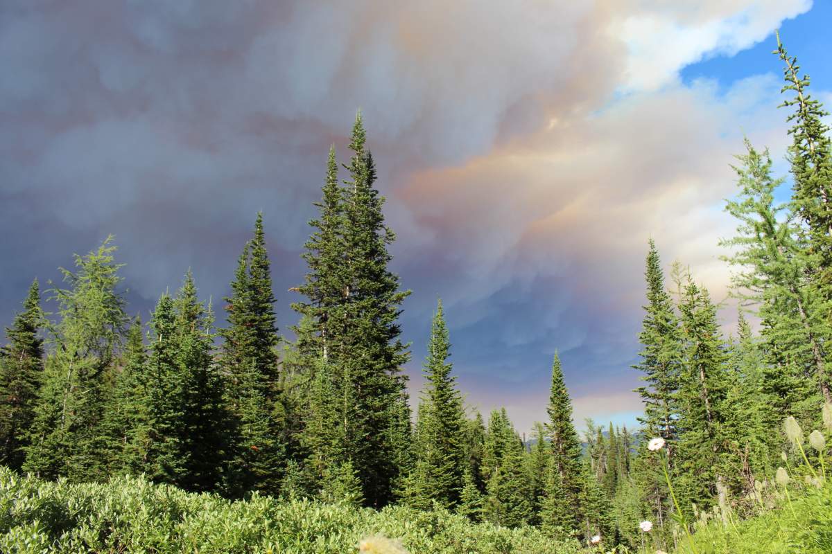 Darkened skies over Mount Assiniboine Provincial Park