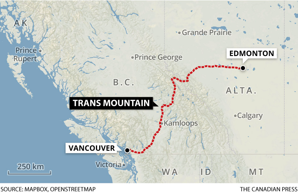 Trans Mountain pipeline will attract buyers if Ottawa can complete expansion, experts say - image