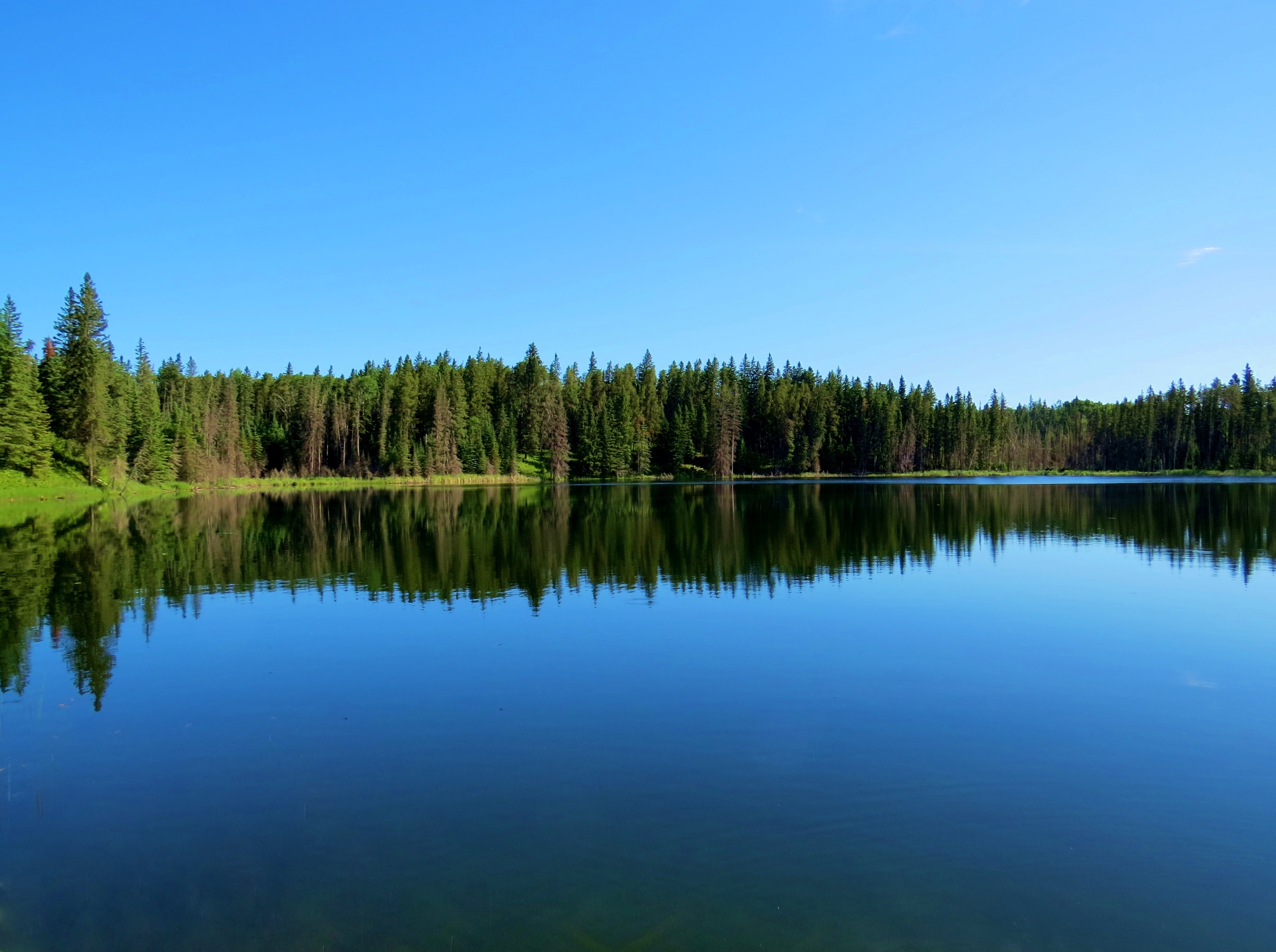 New agreement between Manitoba, First Nations to change scope of forestry