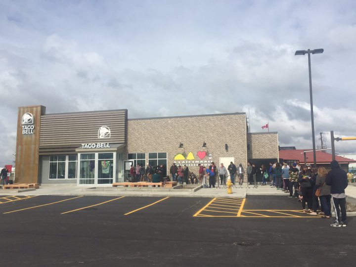 Bust or boom: why some Saskatoon restaurants struggle to survive - image