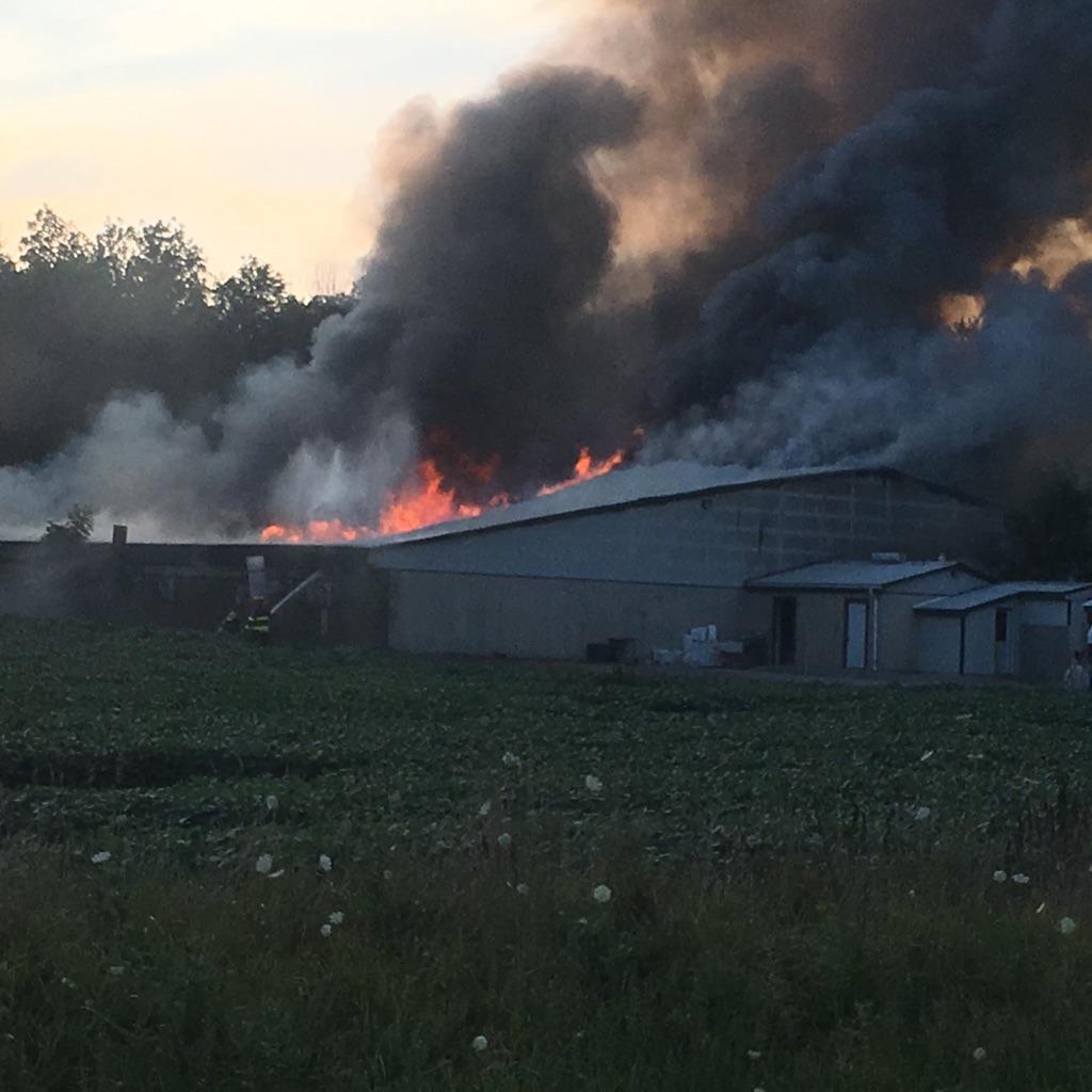 Damage is estimated to exceed $1-million following a fire at a barn housing over 4,000 hogs in Lambton County.