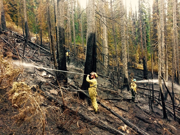 Direct suppression on the north line of the Verdant Creek wildfire. 