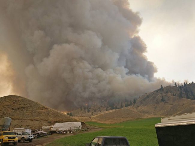 Clinton, B.C. Area Ranchers Upset With Back Burning Near The Elephant ...