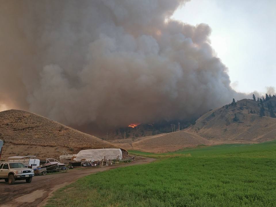 Back burning being conducted on the Elephant Hill wildfire this week.