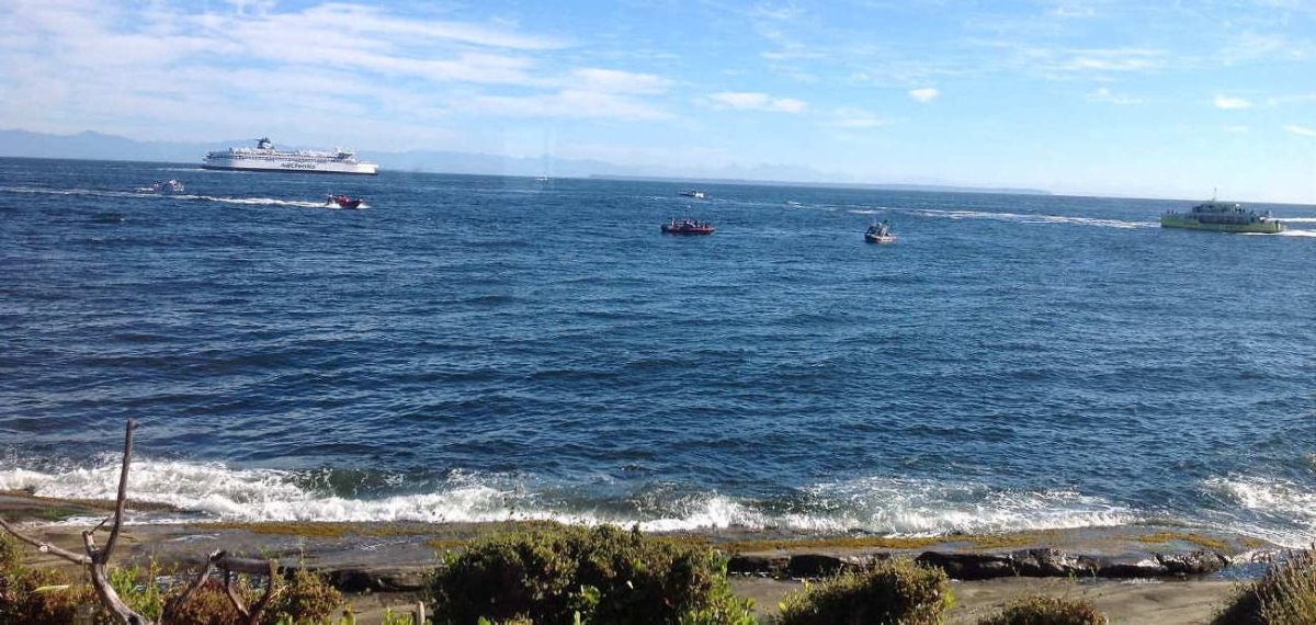 Ferry crews pulled six people from the water near Mayne Island on Sunday morning.