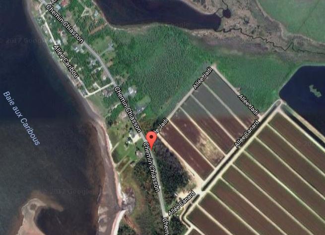 Fruit-Can Ltee. is indicated by a red marker on Google Maps.