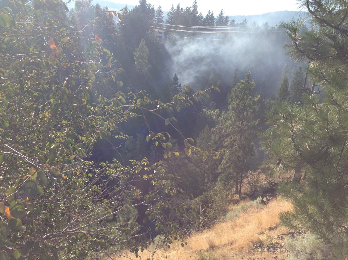 The fire grew to 30 metres square in the steep terrain.