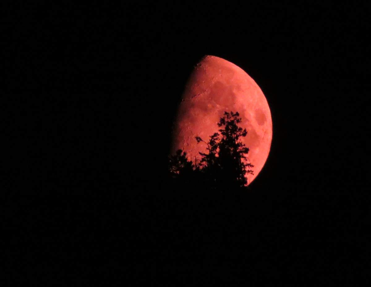 Credit: Gary Lecomte