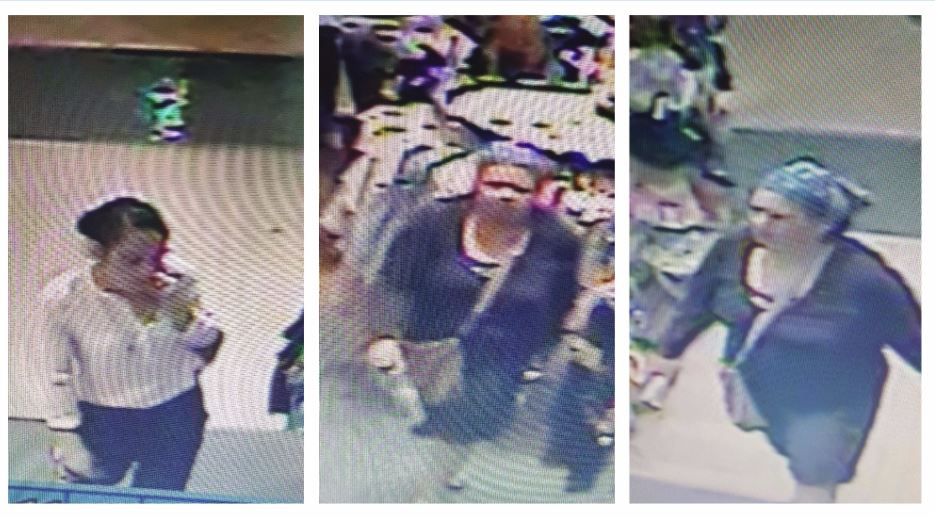 Surveillance video stills show two suspects in connection to a purse theft at Sunnyside Mall. 