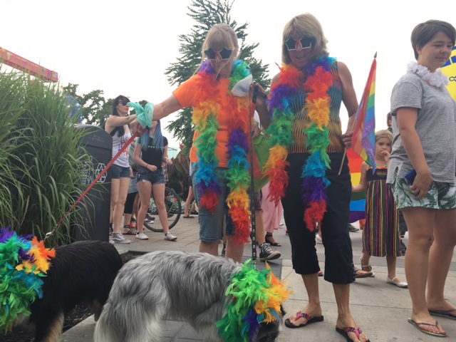 Okanagan Pride Parade 2017: in photos - image