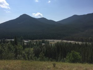 David Swann asks NDP government to rethink logging of Alberta’s Highwood Pass - image
