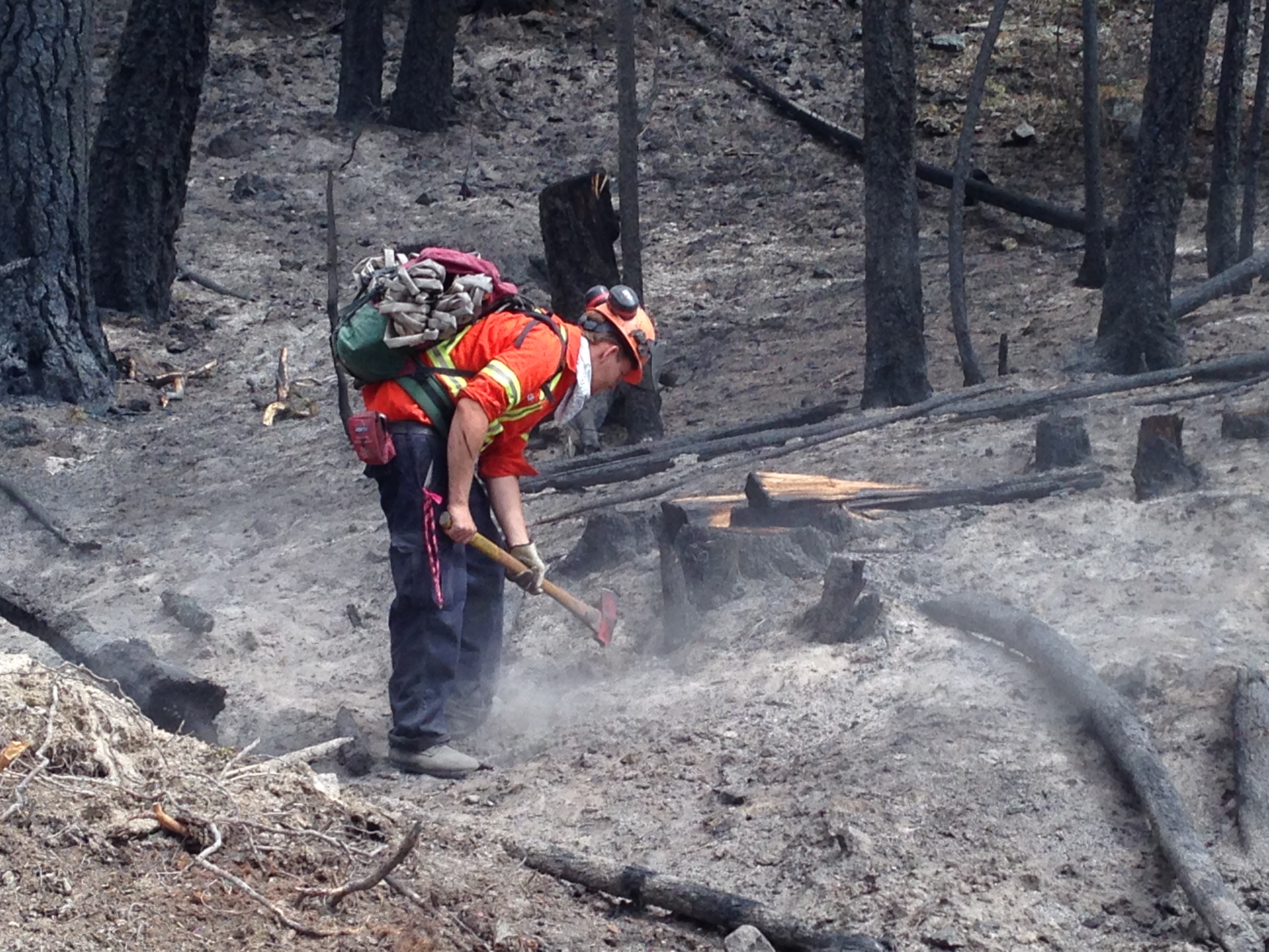 Part Of Manning Park Closed As Crews Battle 18-hectare Wildfire ...