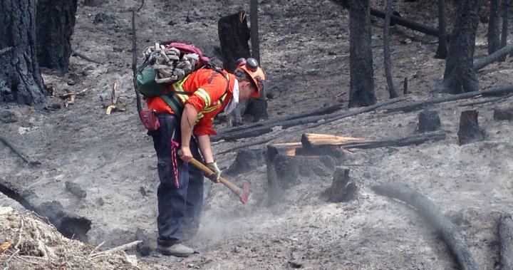 пр.н.е. правителството наложи санкция от $710 000 за „опасна“ работа при горски пожар