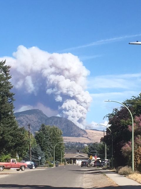 Philpott Road wildfire near Kelowna loses a lot of its steam ...