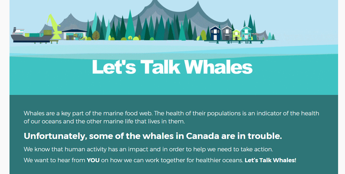An image from the website promoting the Let’s Talk Whales campaign.