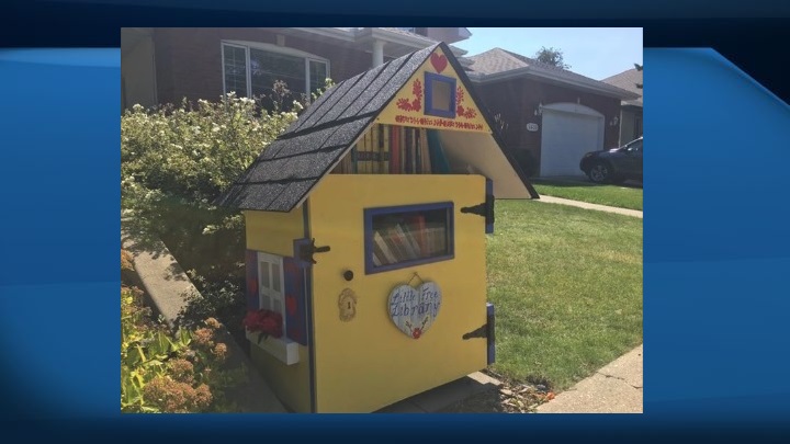 She said her husband Peter built the little library while her daughters Katherine and Nicole worked on the design and painting.