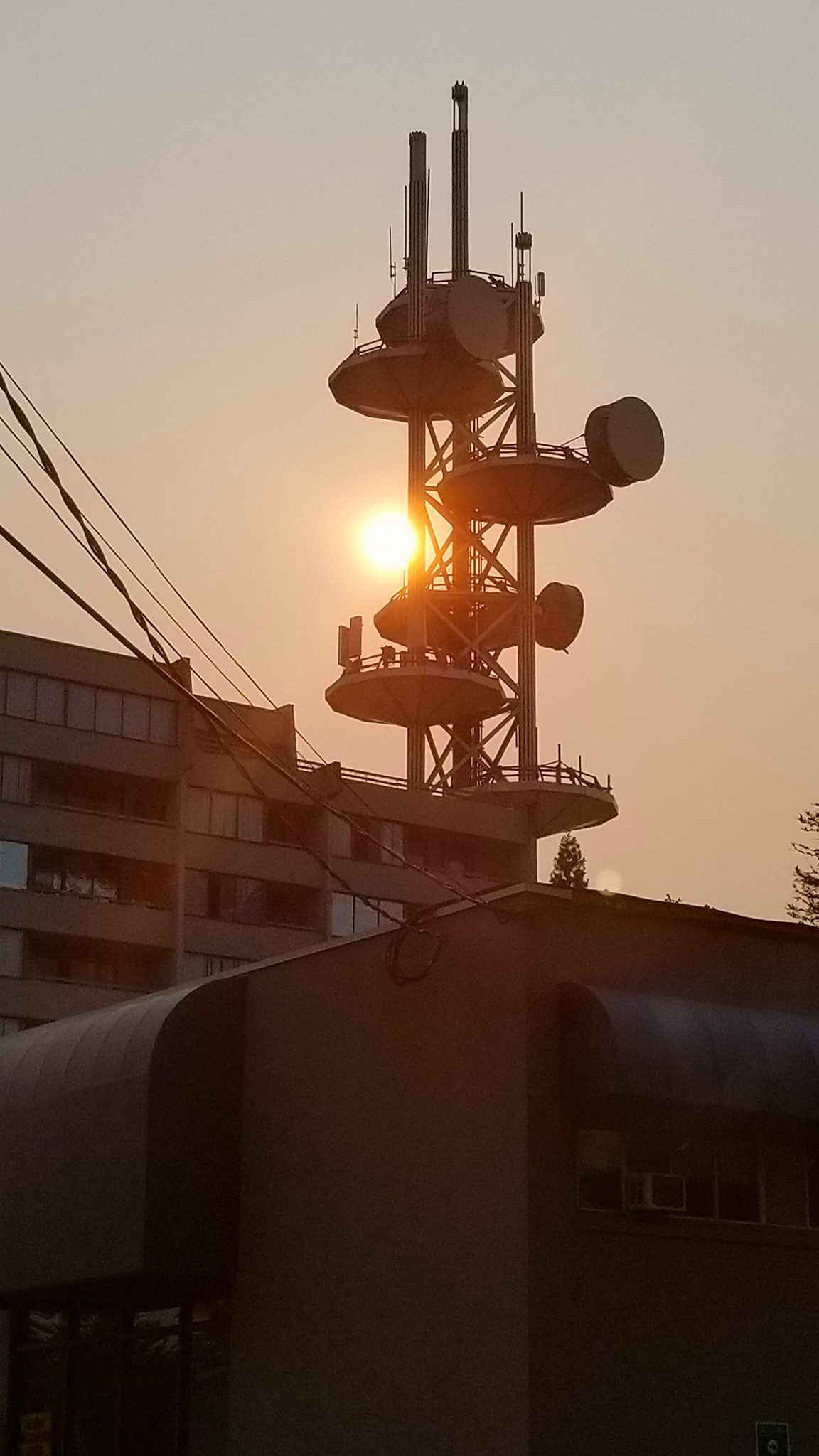 Credit: Jeff Phillips