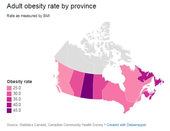 Canadian obesity rates continue to climb, Saskatchewan takes top spot - image