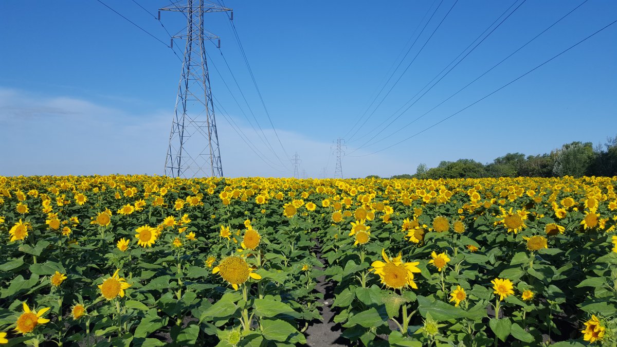 Mike’s Monday Outlook: Hot start to the last week of August - image