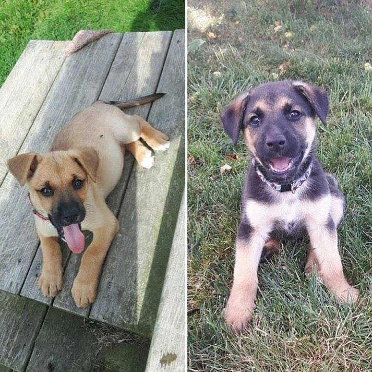 Maya and Myles from the ARF.