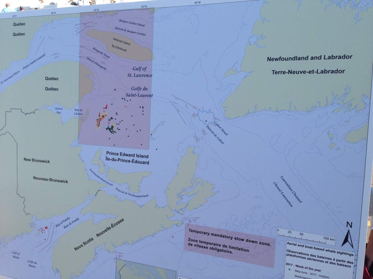 The red zone shows the temporary mandatory slow down zone as part of measures to protect North Atlantic right whales by the federal government.