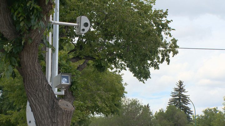 Red light runners on the rise: Saskatoon police - image