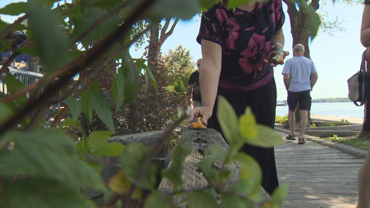 "Kindness rocks" are being placed along the boardwalk in Sainte-Anne-de-Bellevue, Tuesday, August 1, 2017.