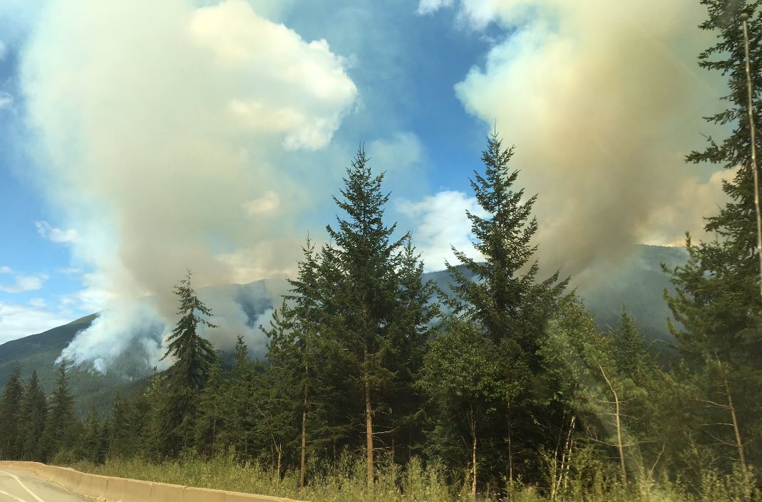 Extreme fire danger and public safety have prompted more prohibitions for National Parks.