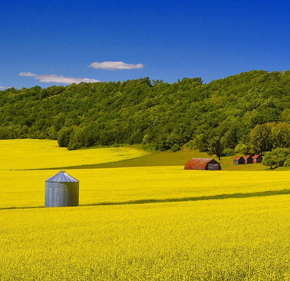 The beautiful summer weather has made for some lovely scenery around the province.
