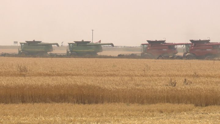 Combines mobilize at a property just outside of Taber.