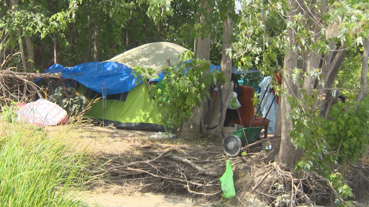 Several tents for homeless people are set-up along the riverbank in Fredericton.