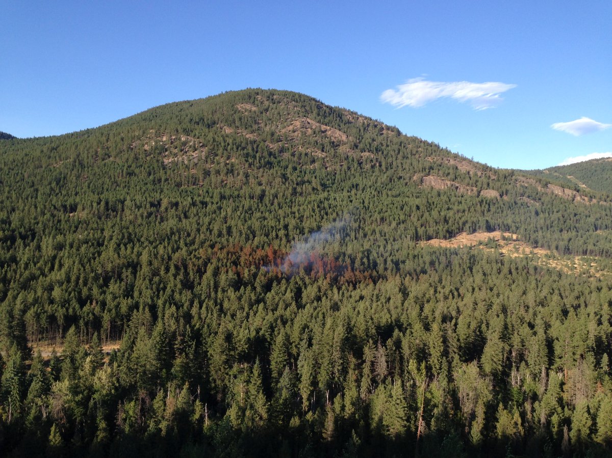 A wildfire north of Peachland looks to be under control. 