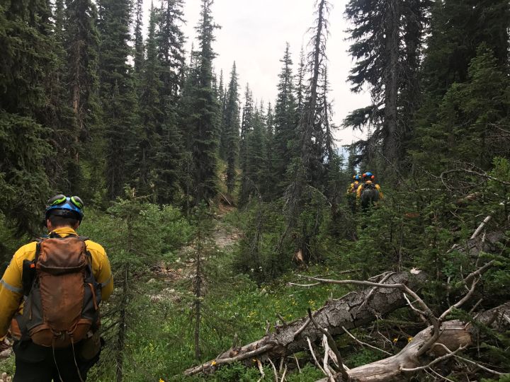 Verdant Creek wildfire