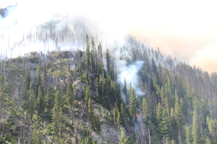 Verdant Creek wildfire