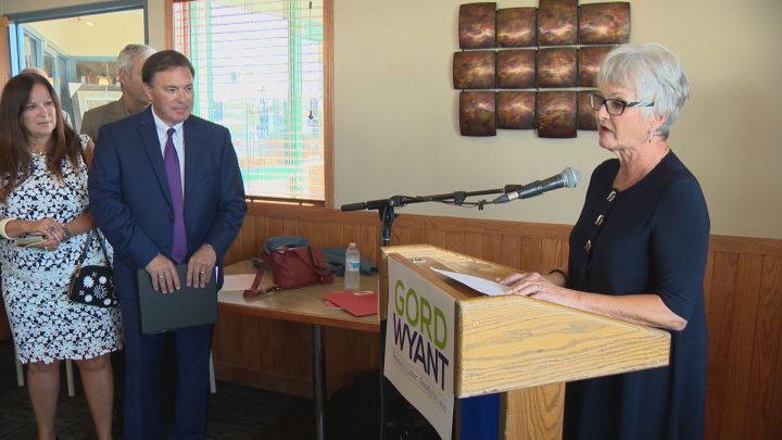 Gord Wyant officially enters Saskatchewan Party leadership race - image